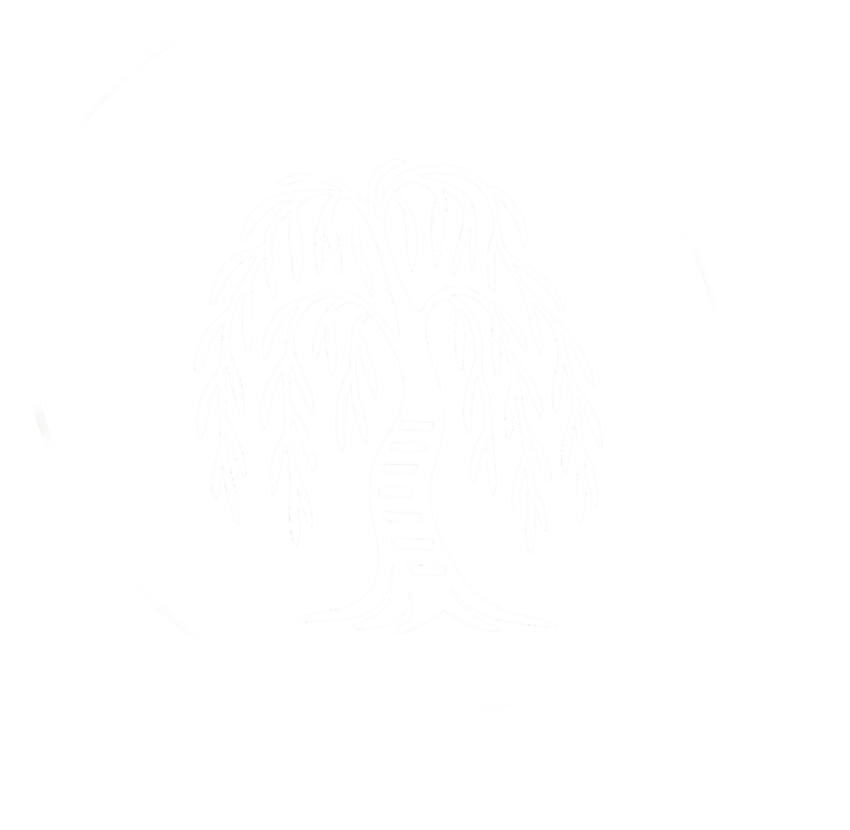 Ekojoe